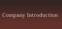 Company Introduction